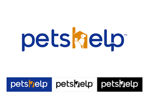 Logo Design by Idea Master Plus