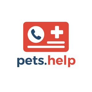 Logo Design by dynamicstudio