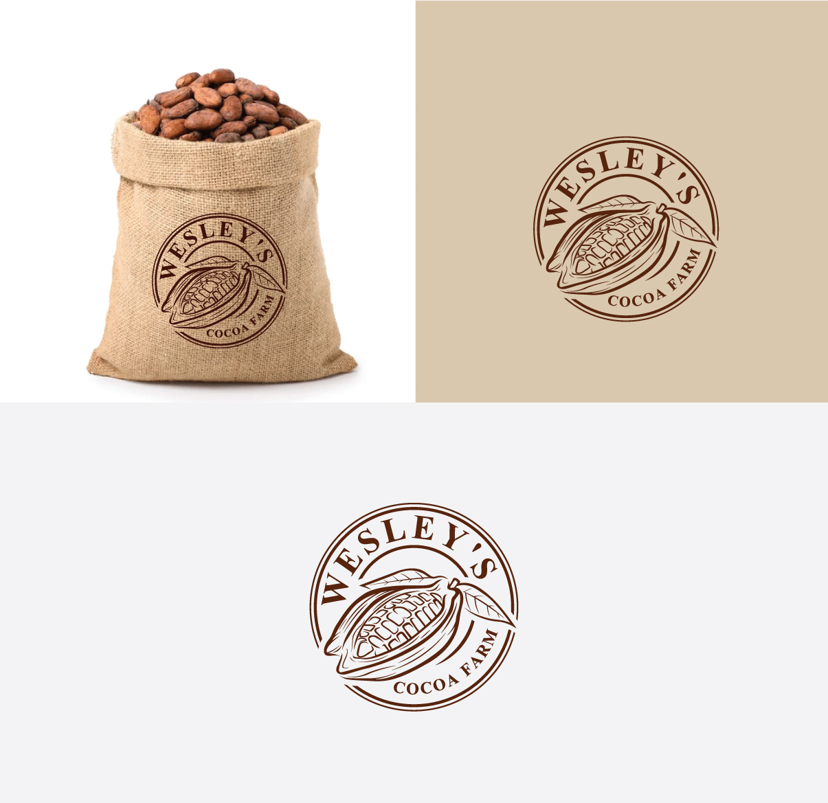 Diseño de Logo por WB NAG para este proyecto | Diseño #35693561