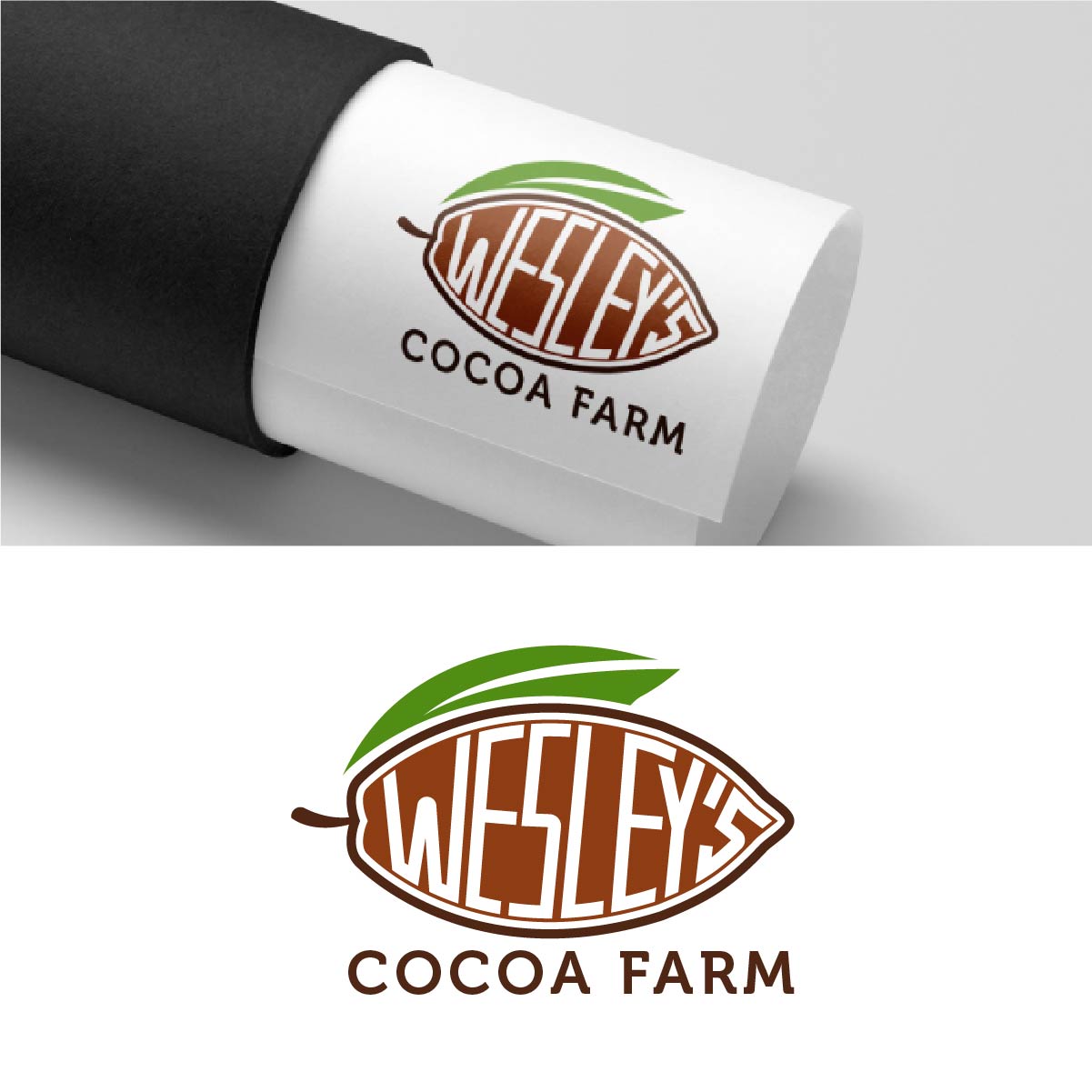 Diseño de Logo por fly  design para este proyecto | Diseño #35695685