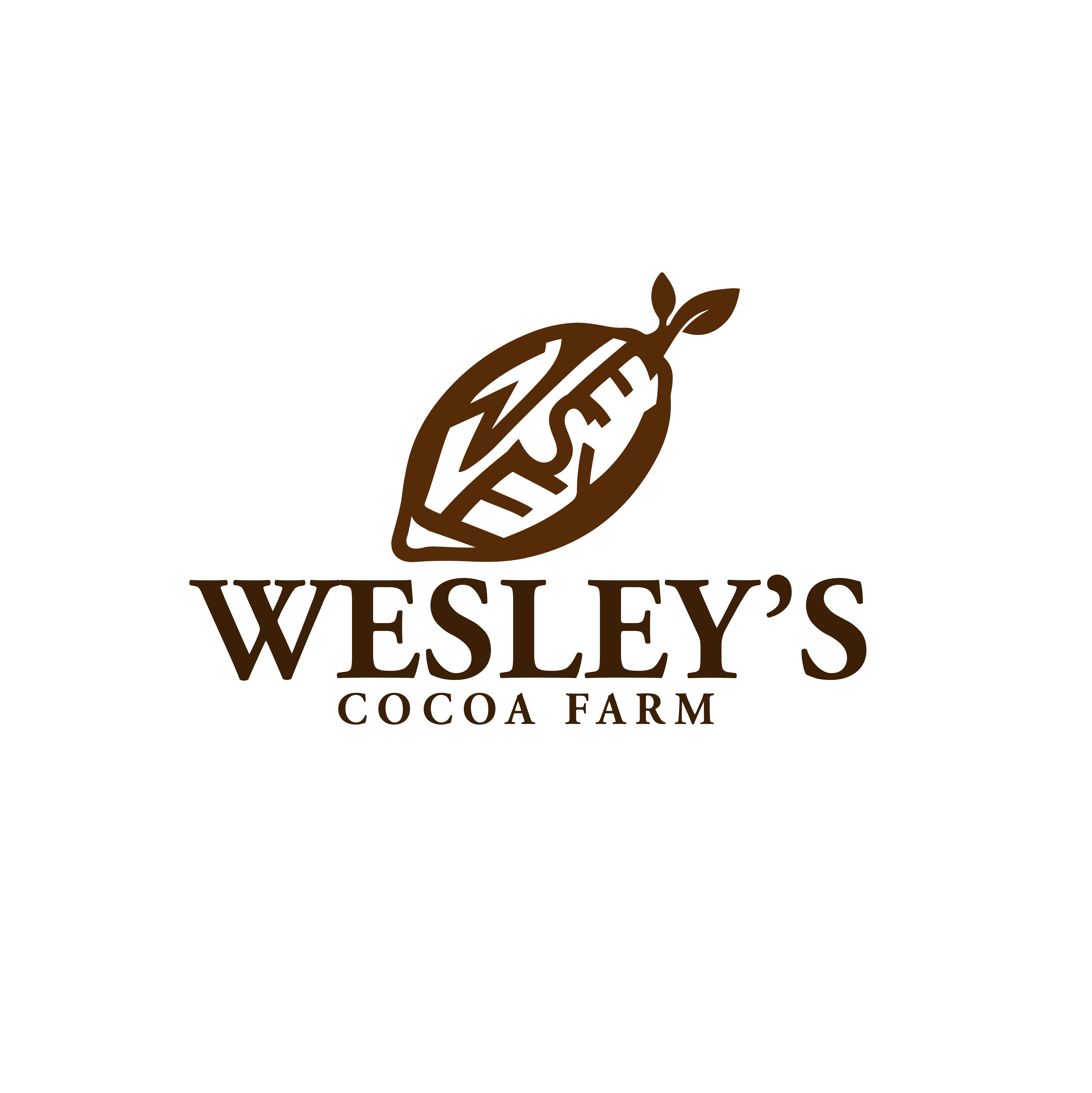 Logo-Design von Raheel Dildar für dieses Projekt | Design #35710164