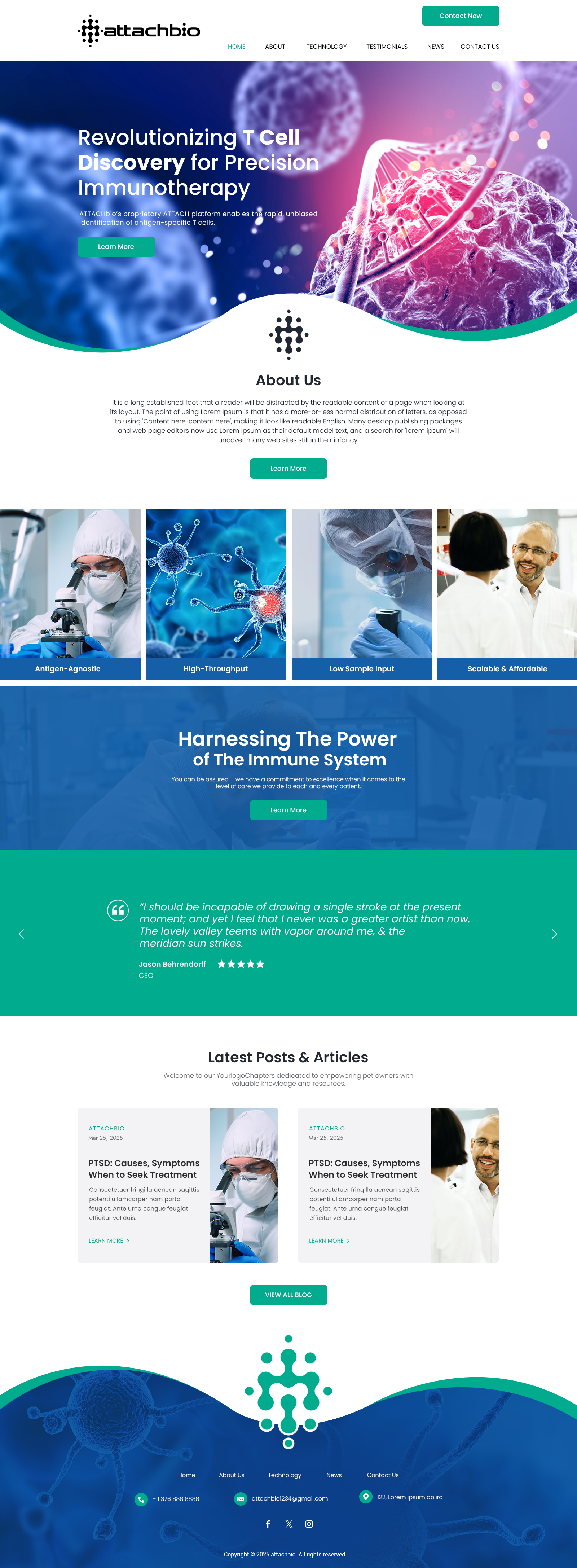 Web Design by Sanwariya Design for this project | Design #35713178