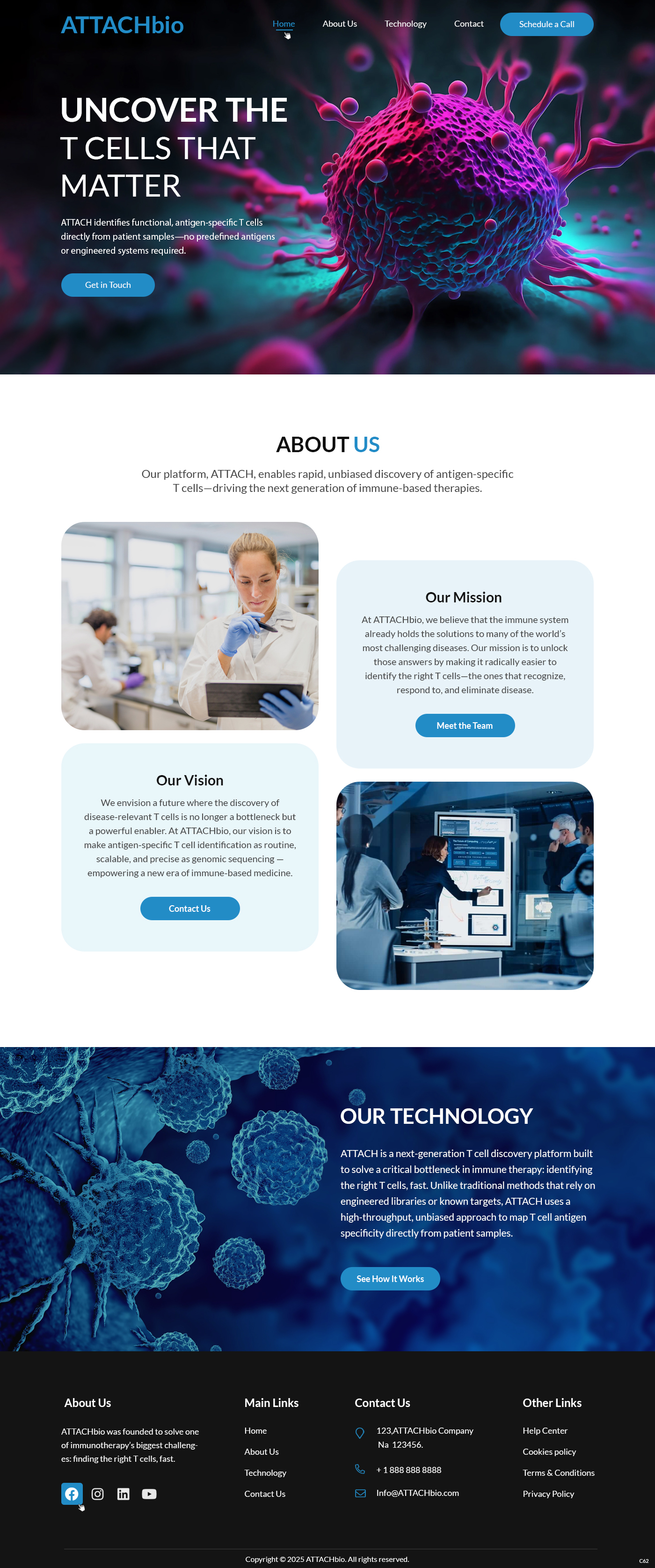 Diseño Web por pb para este proyecto | Diseño #35697076