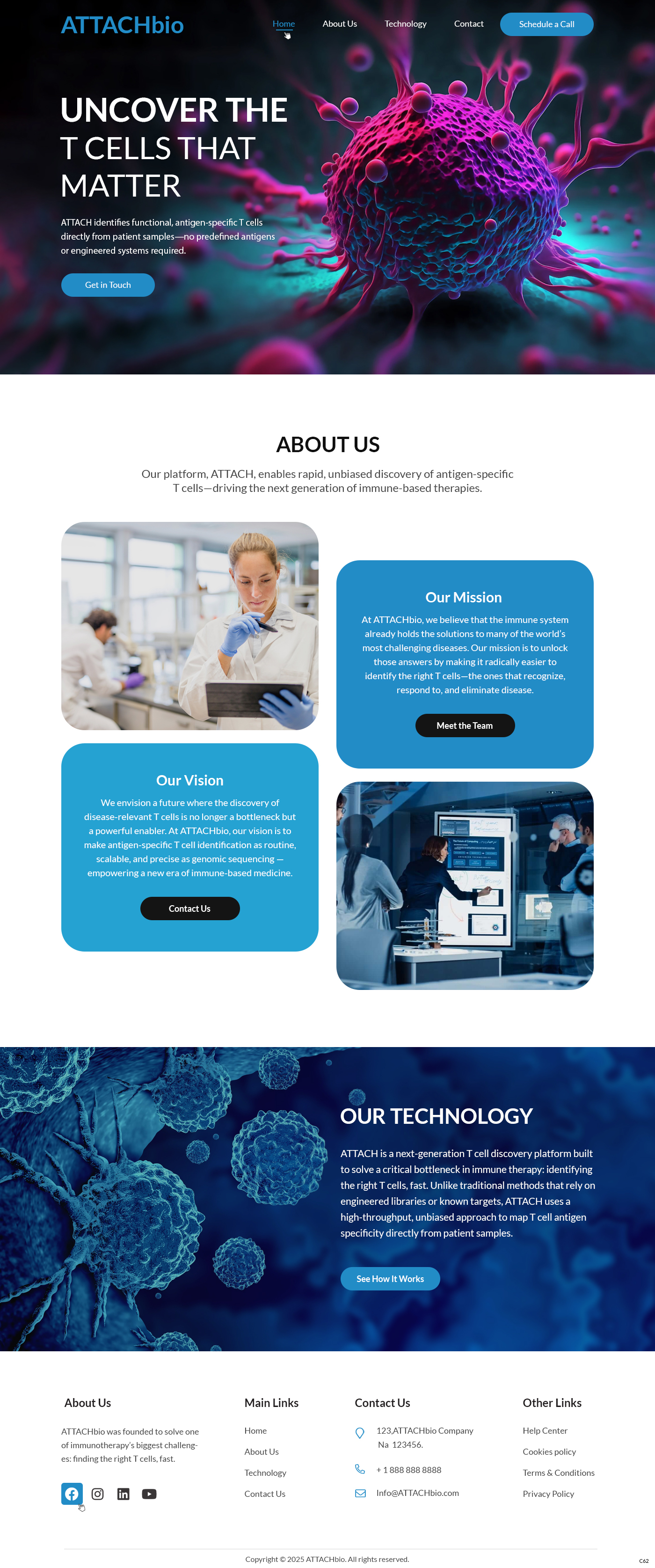 Diseño Web por pb para este proyecto | Diseño #35697083