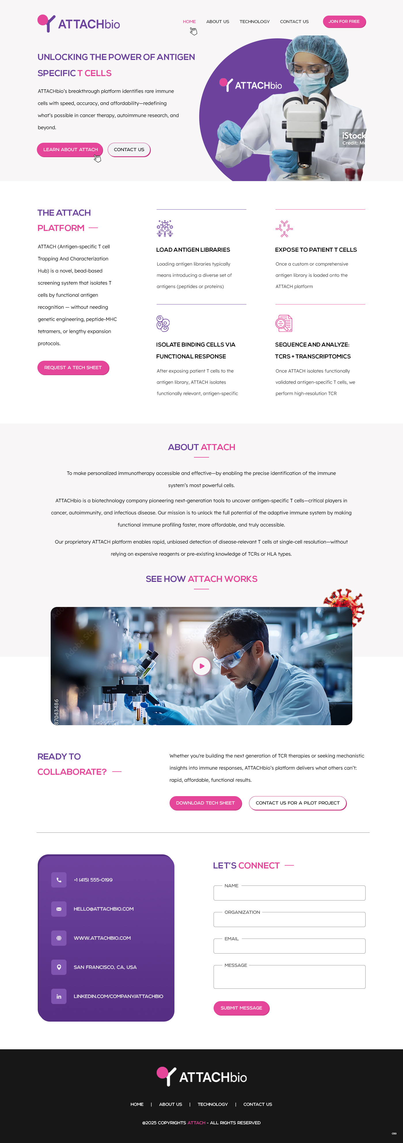Diseño Web por pb para este proyecto | Diseño #35697085