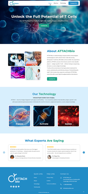 Web Design by pb for this project | Design: #35702399