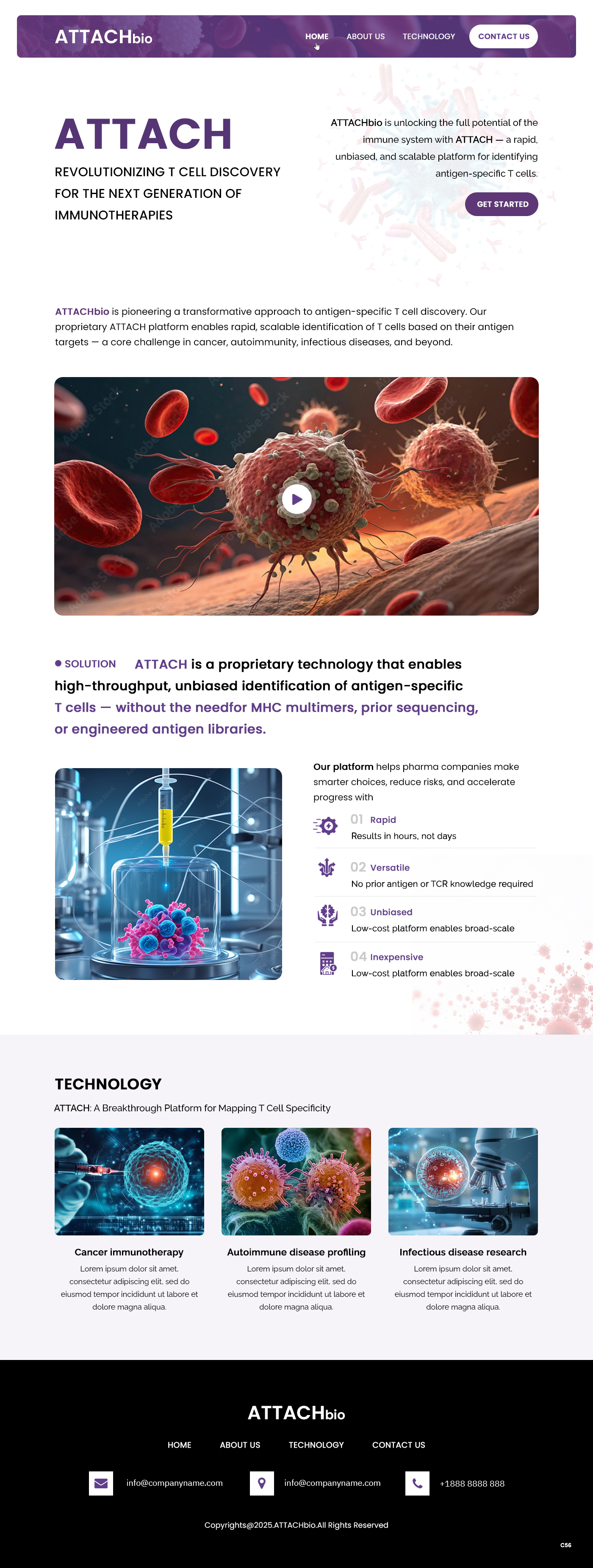 Diseño Web por pb para este proyecto | Diseño #35702402