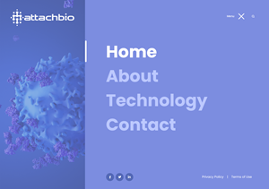 Web Design by nzdesigners for this project | Design: #35718845