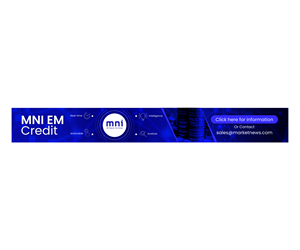 Banner Ad Design by ThiagoB for MNI | Design: #35697989