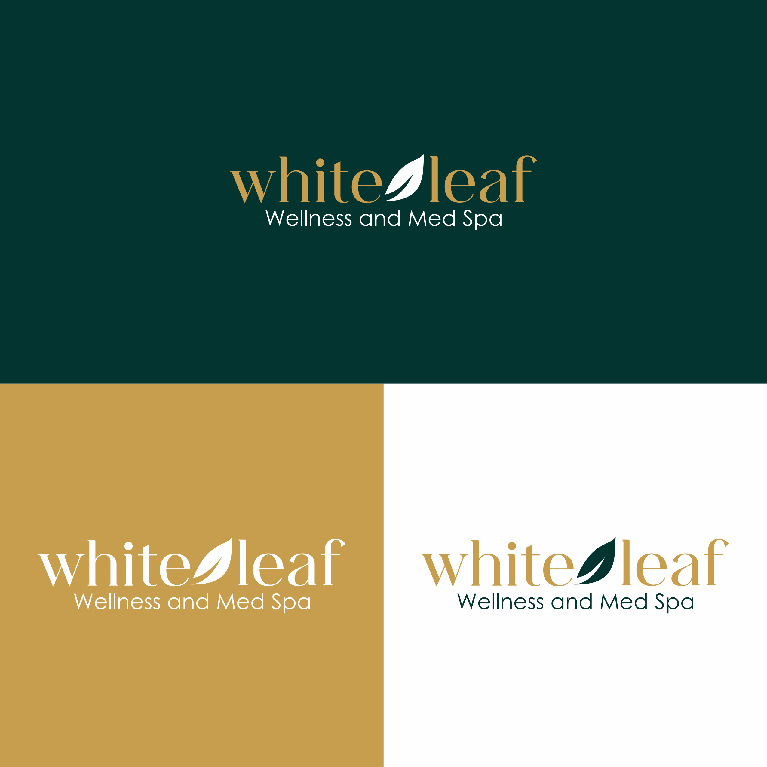 Diseño de Logo por melzh para este proyecto | Diseño #35705603