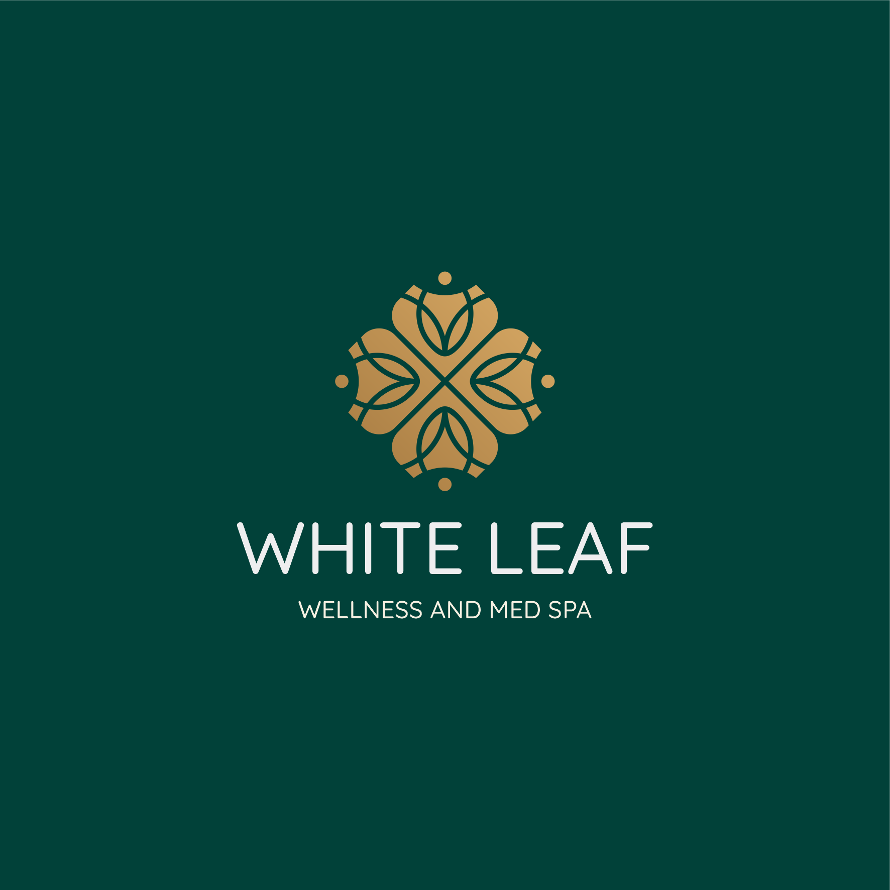 Logo Design by sabina aiko for this project | Design #35710590
