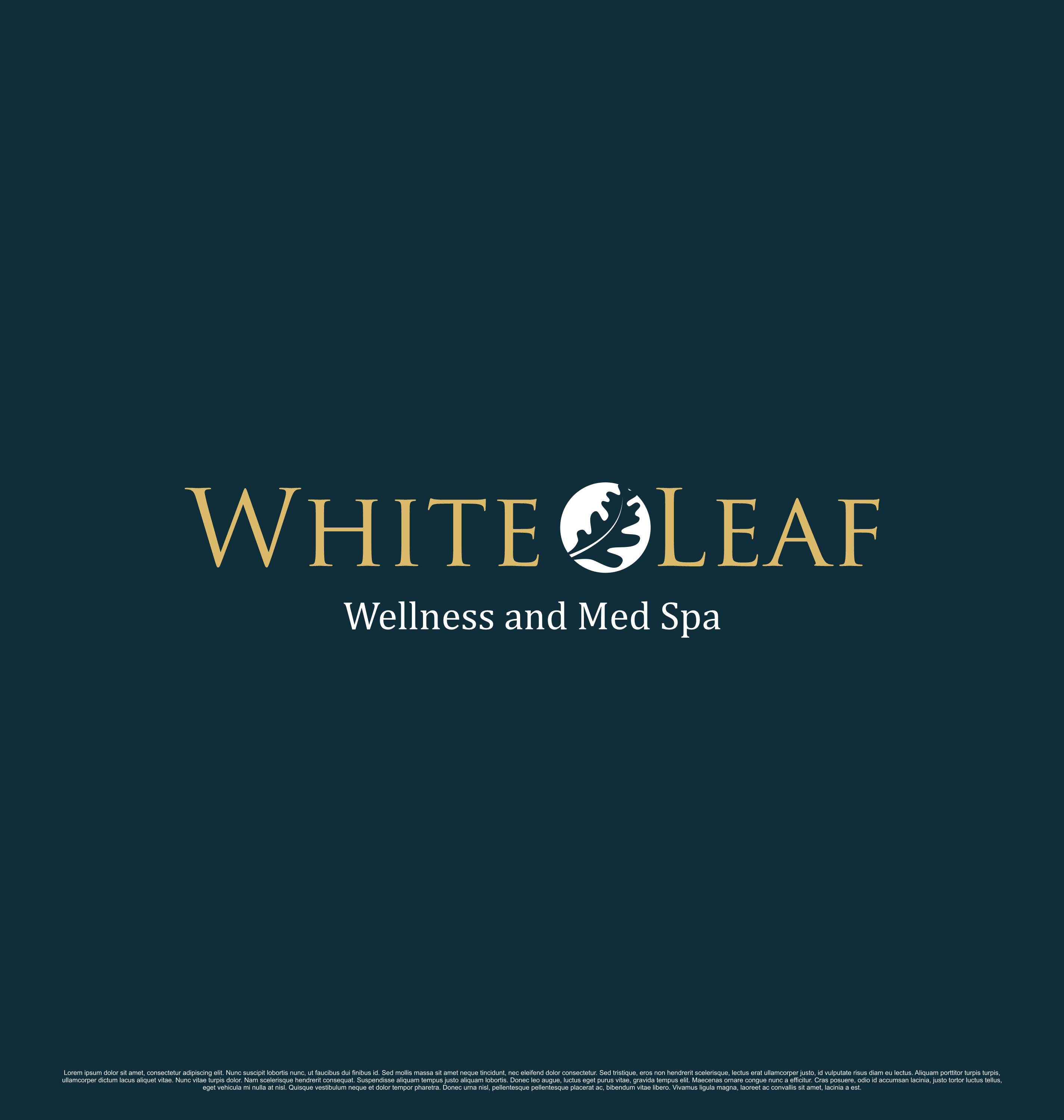 Design de Logo par saesean pour ce projet | Design #35700100