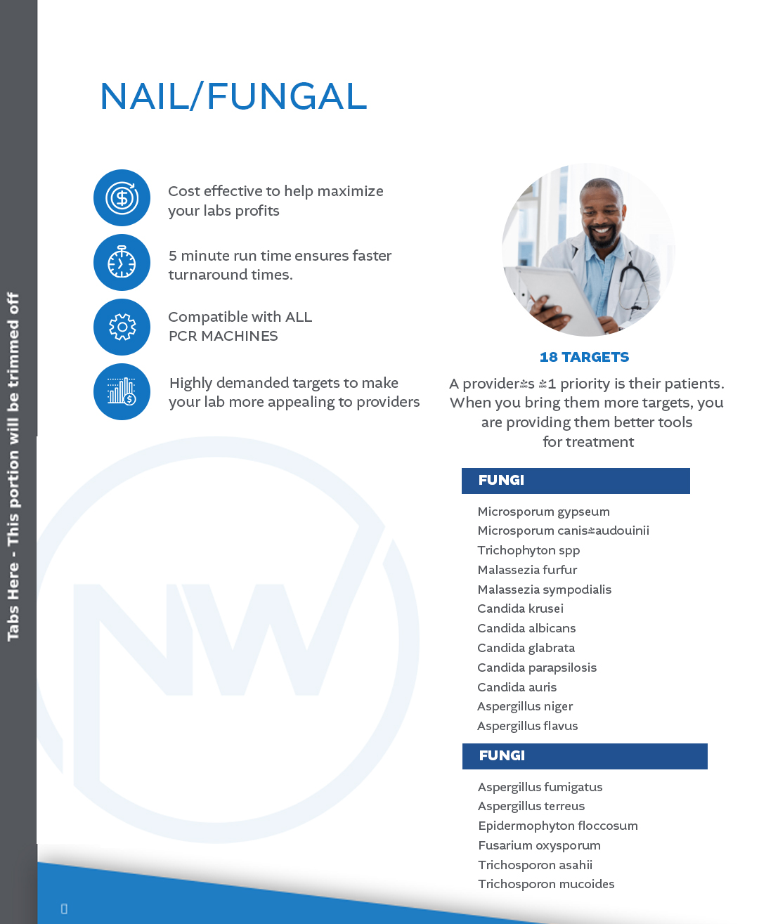 Design de Flyer par nzdesigners pour ce projet | Design #35726213