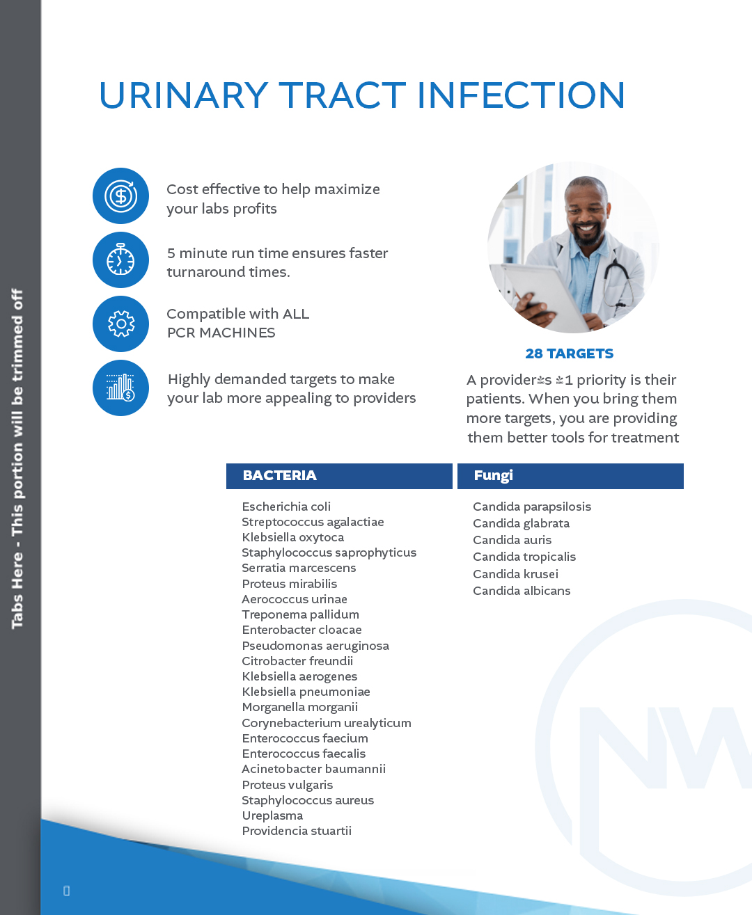 Flyer Design by NZ Creatives for this project | Design #35726216