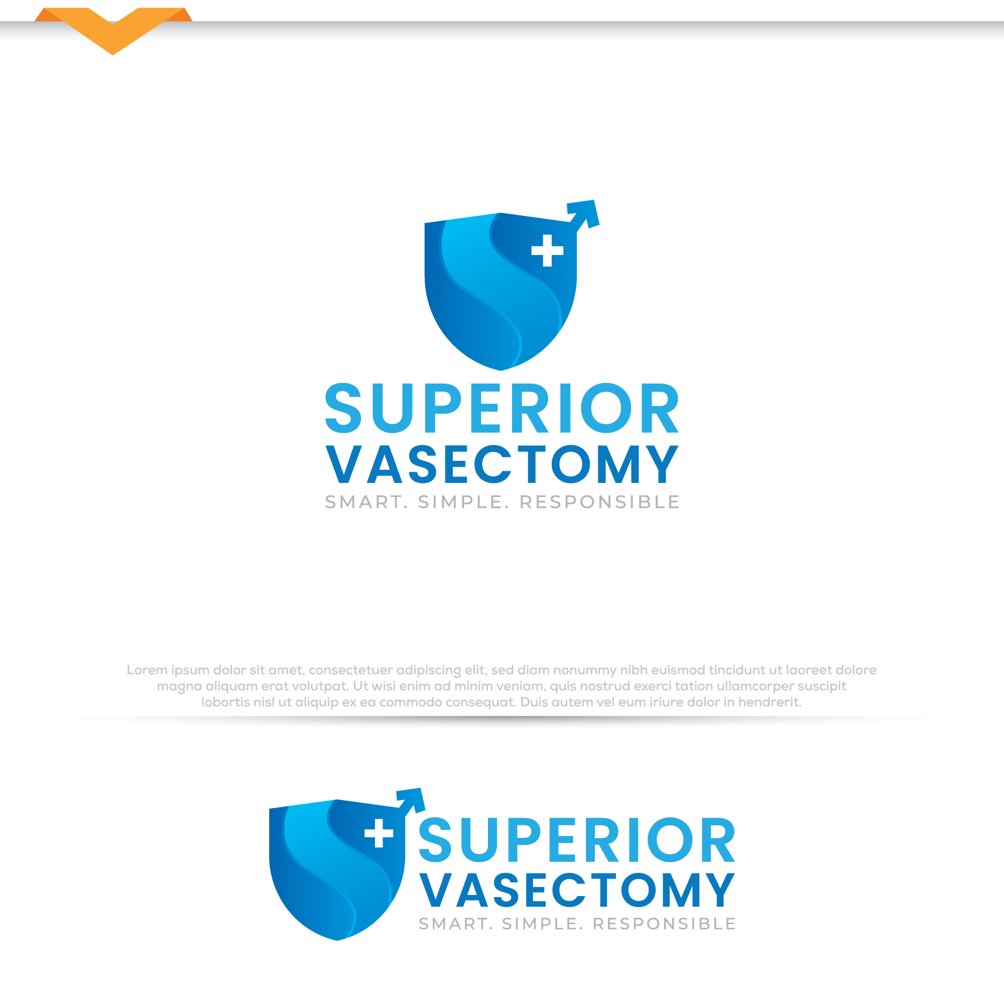 Logo Design by Pilot_DesignR™ for this project | Design #35721353
