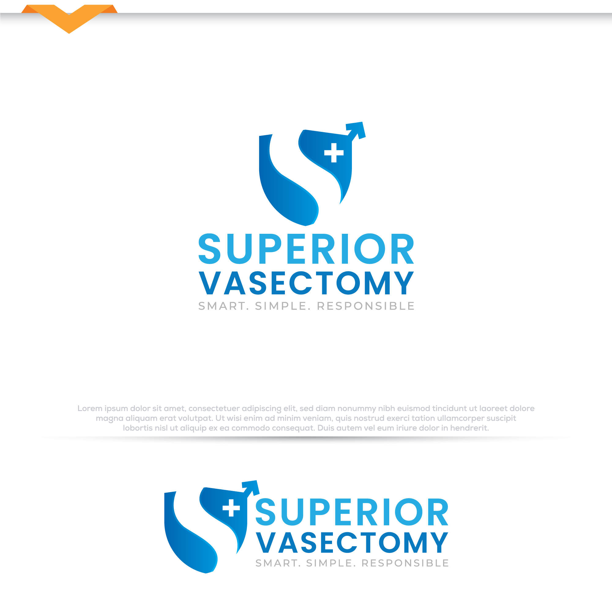 Logo Design by Pilot_DesignR™ for this project | Design #35721357