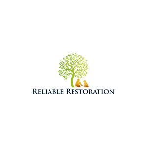 Logo Design by brandlancer for this project | Design: #35729659