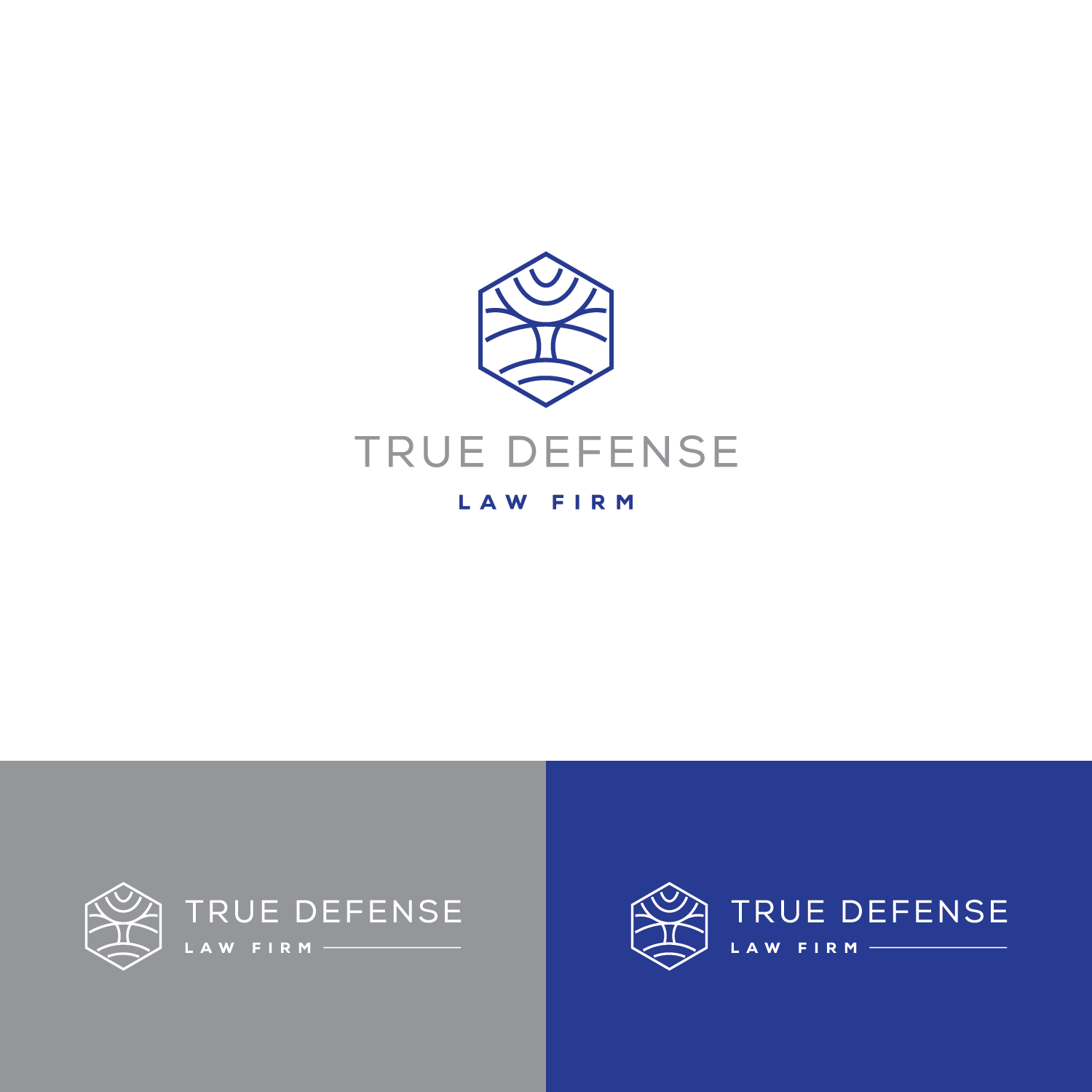 Logo Design by bejobound for this project | Design #35735208