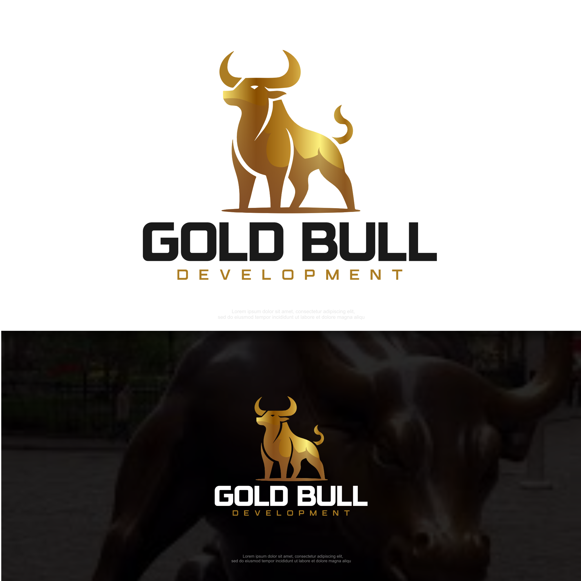 Diseño de Logo por PowersDesign para este proyecto | Diseño #35727953