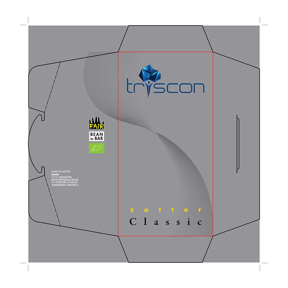 Envelope Design by YourLogoMaster for triscon IT-Services GmbH | Design #35754033