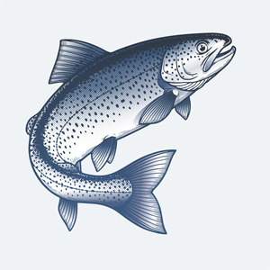 Design Graphique par dcoffeeaddict pour Catchafish GmbH | Design #35741525