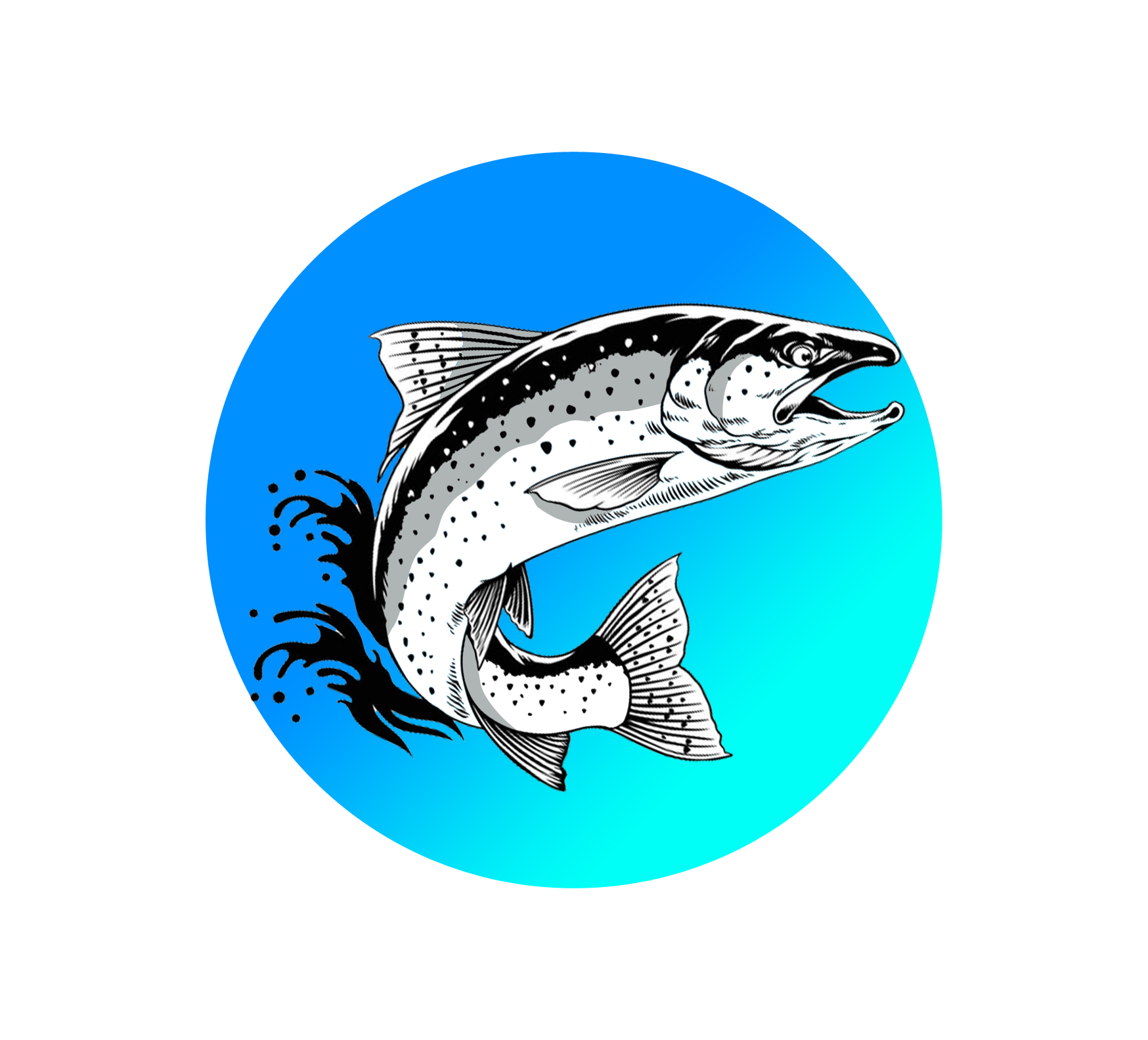 Graphic Design by Yayan gesuter for Catchafish GmbH | Design #35741292