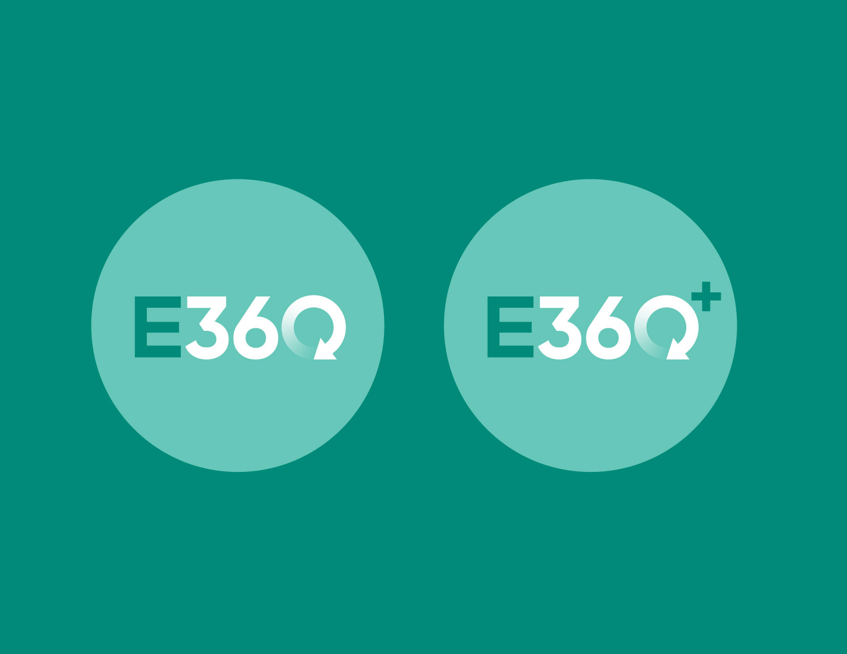 Diseño de Logo por MOLO para Envisage Wealth | Diseño #35739966