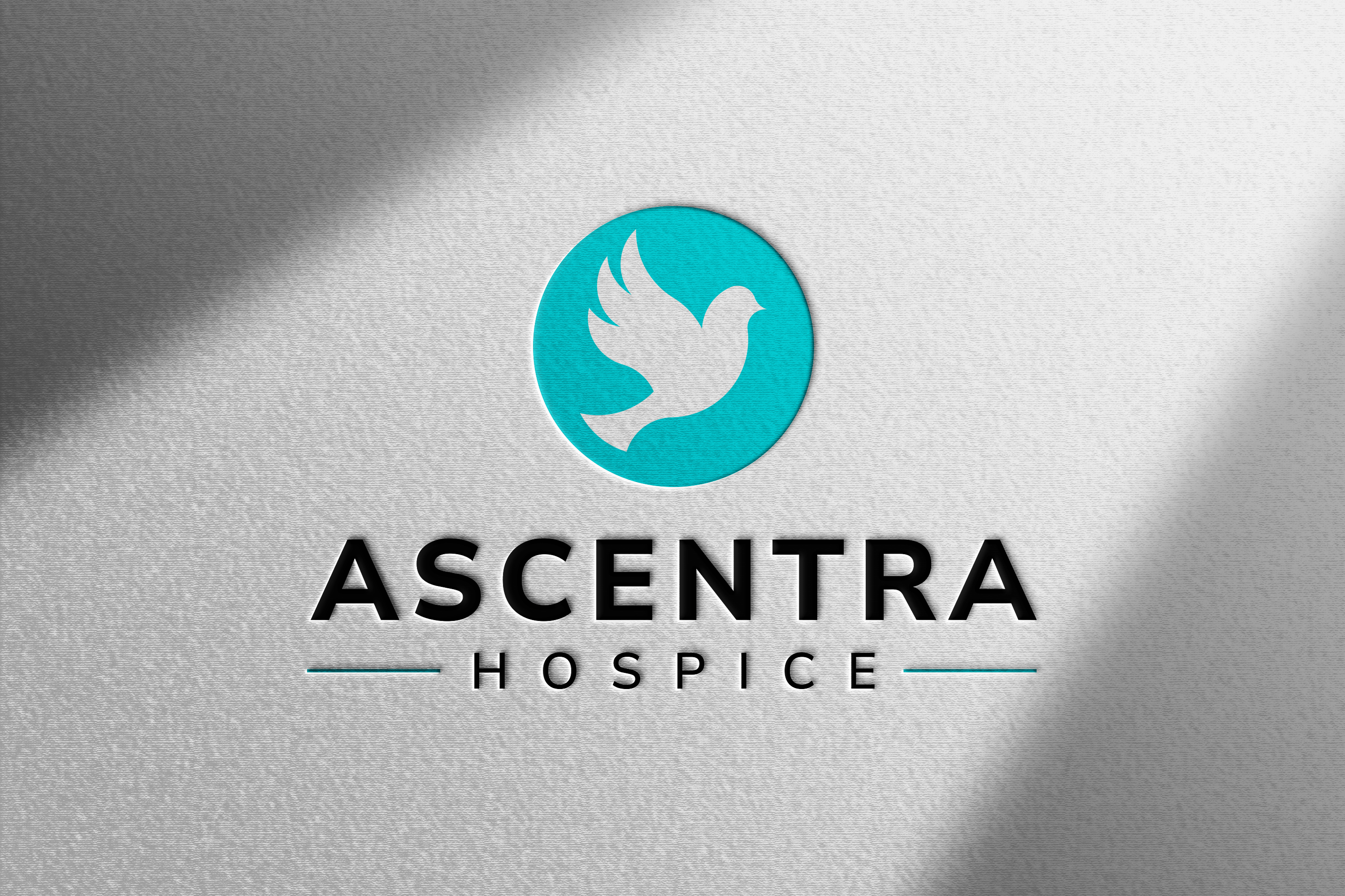 Logo Design by Designed by MS for this project | Design #35757564