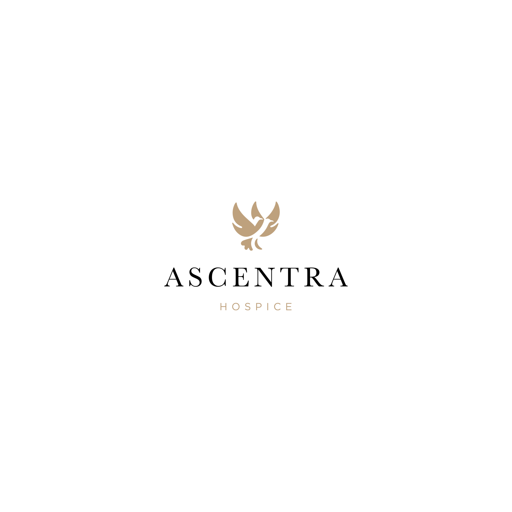 Logo Design by VisualFlava for this project | Design #35747095