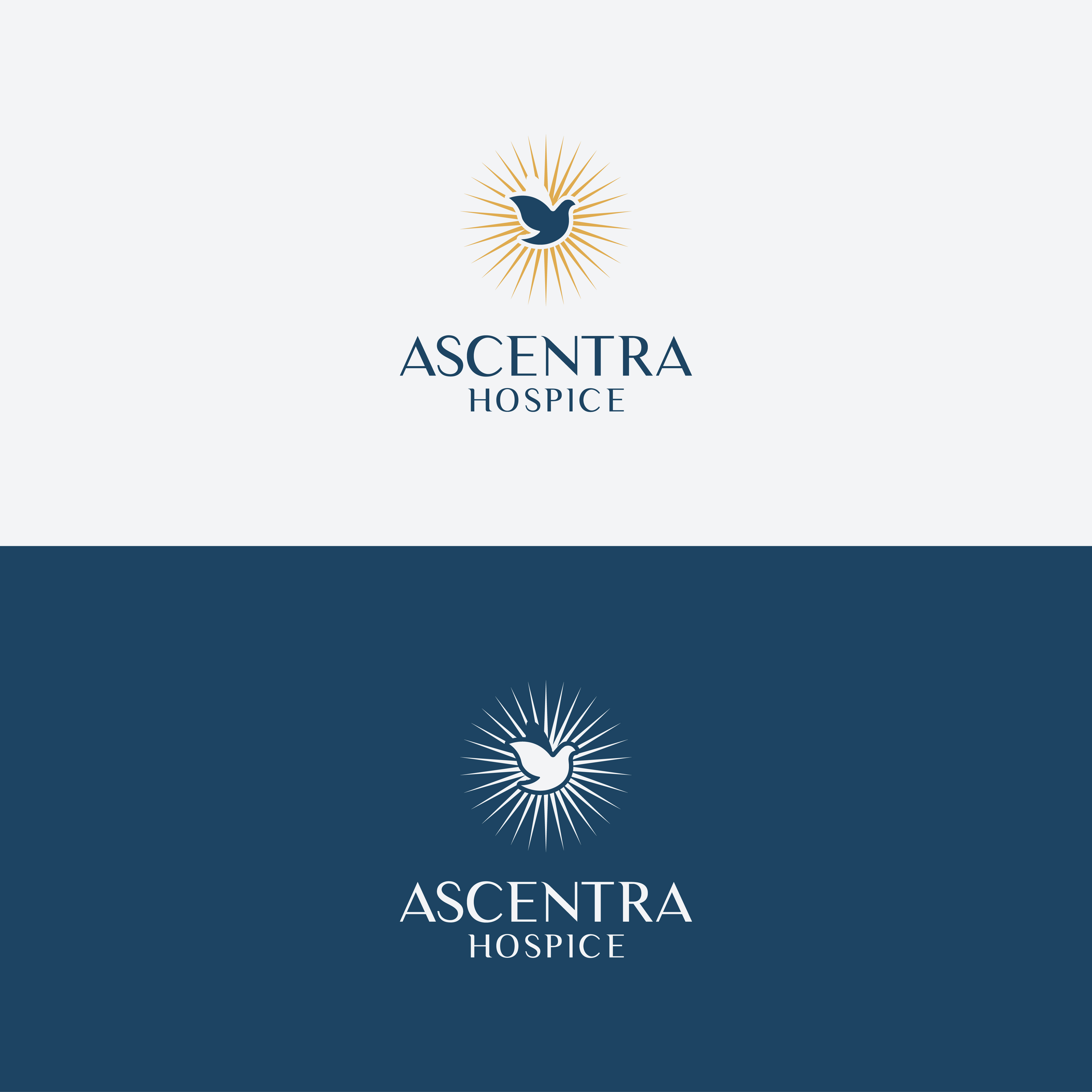 Diseño de Logo por designprotox para este proyecto | Diseño #35760605