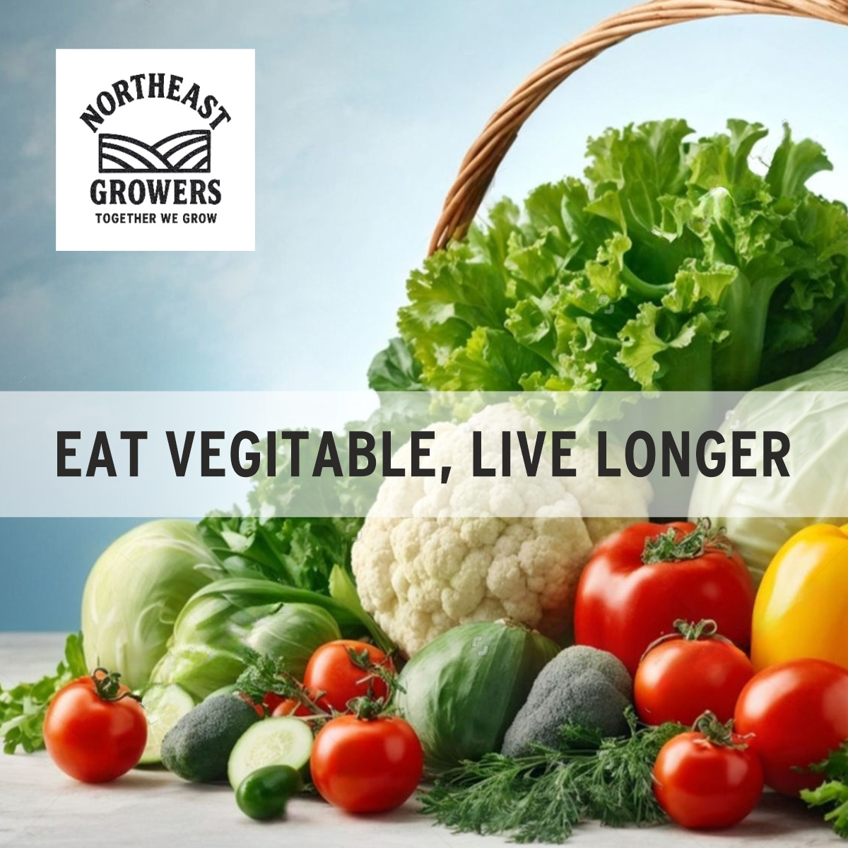 Graphic Design by DesignART for this project | Design #35752091