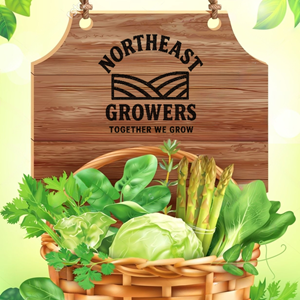 Graphic Design by DesignART for this project | Design: #35754248