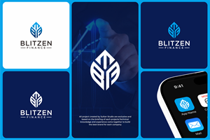 Logo Design by Sultan  Studio for Blitzen Finance | Design: #35750272
