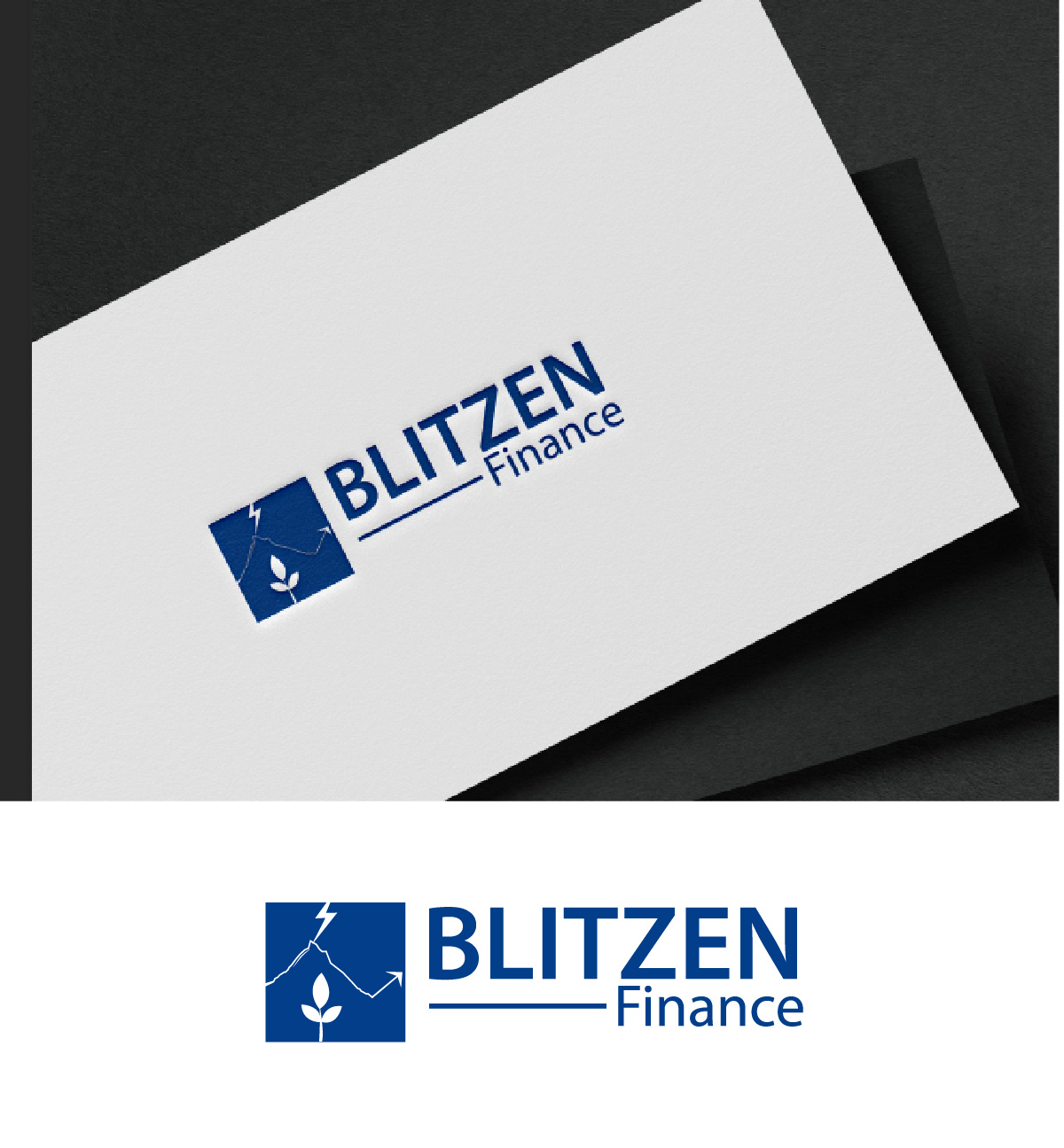 Logo Design by fly  design for Blitzen Finance | Design #35759688