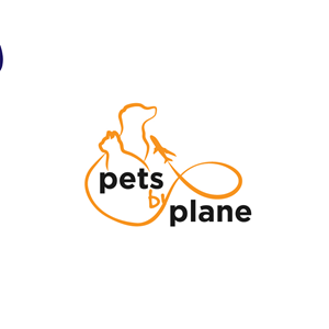 Diseño de Logo por VisionCraft™ para este proyecto | Diseño: #35765359