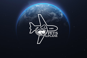 Design de Logo par BrandOmniverse pour ce projet | Design : #35818328