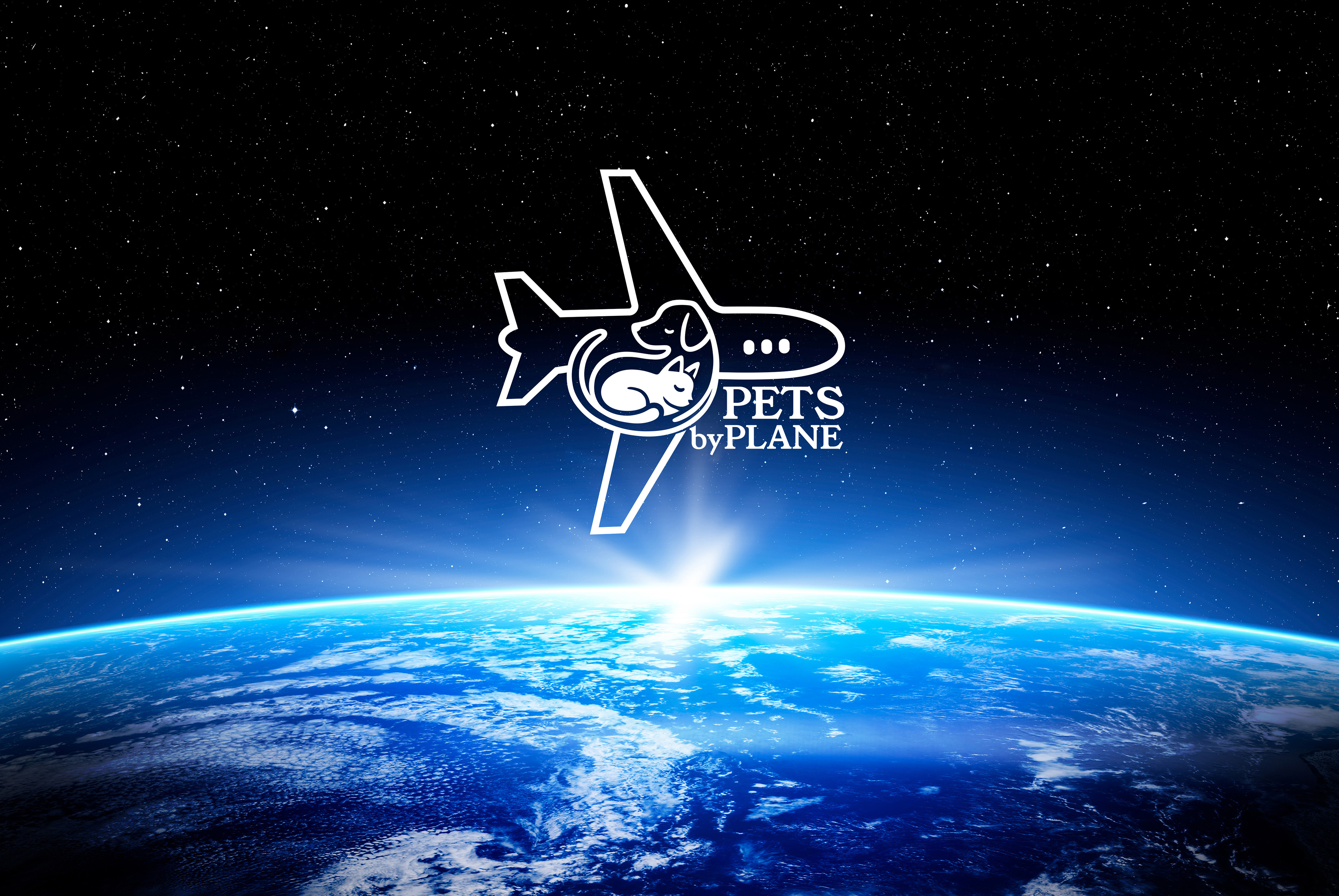 Logo Design by BrandOmniverse for this project | Design #35818332