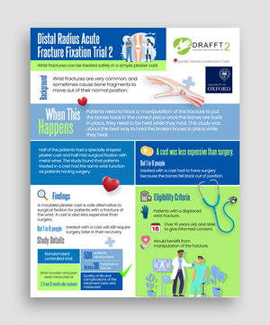 Infographic Design by Graphic Guy
