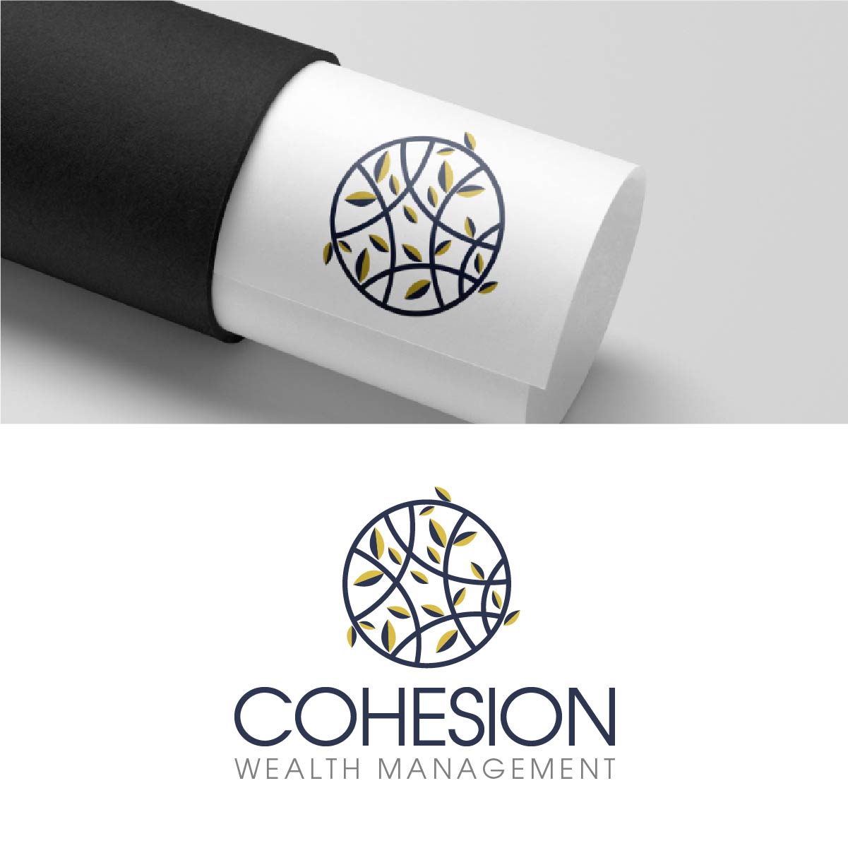 Design de Logo par fly  design pour ce projet | Design #35786295