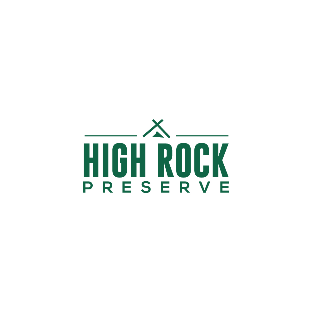 Logo Design by YourLogoMaster for this project | Design #35804724