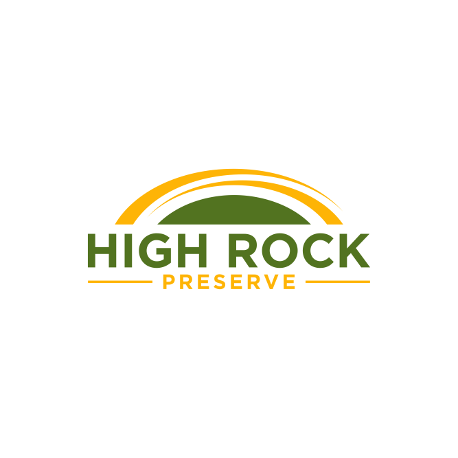 Diseño de Logo por ni9 para este proyecto | Diseño #35821401