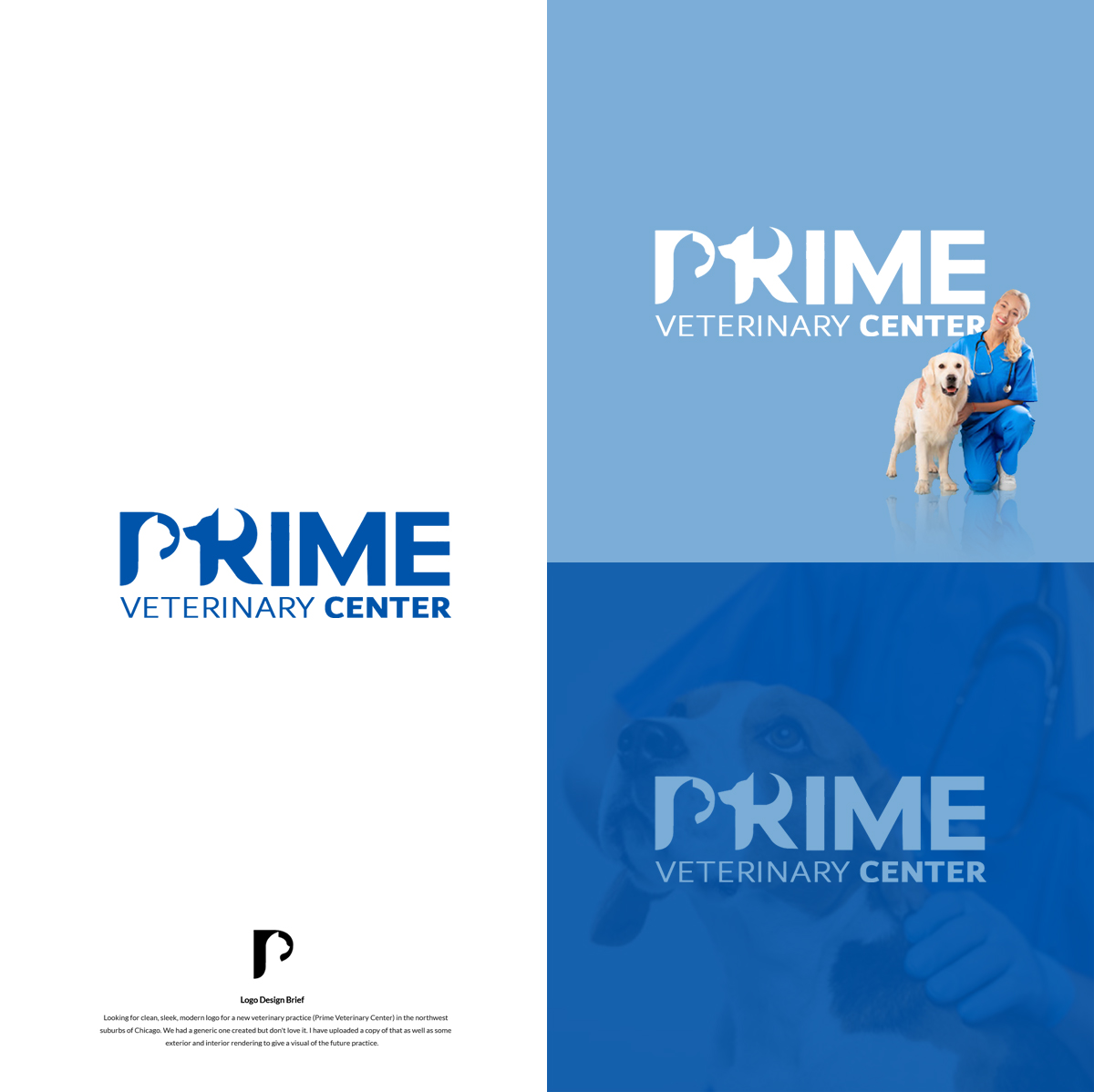 Design de Logo par 3graphic.studio pour ce projet | Design #35817833