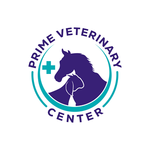 Logo-Design von Suvendu.S für dieses Projekt | Design: #35803034