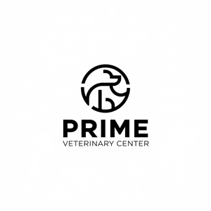 Design de Logo par Ar_nisam_usman pour ce projet | Design : #35806694