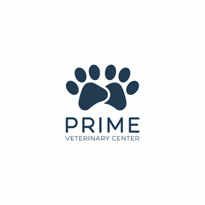 Design de Logo par Ar_nisam_usman pour ce projet | Design : #35806695