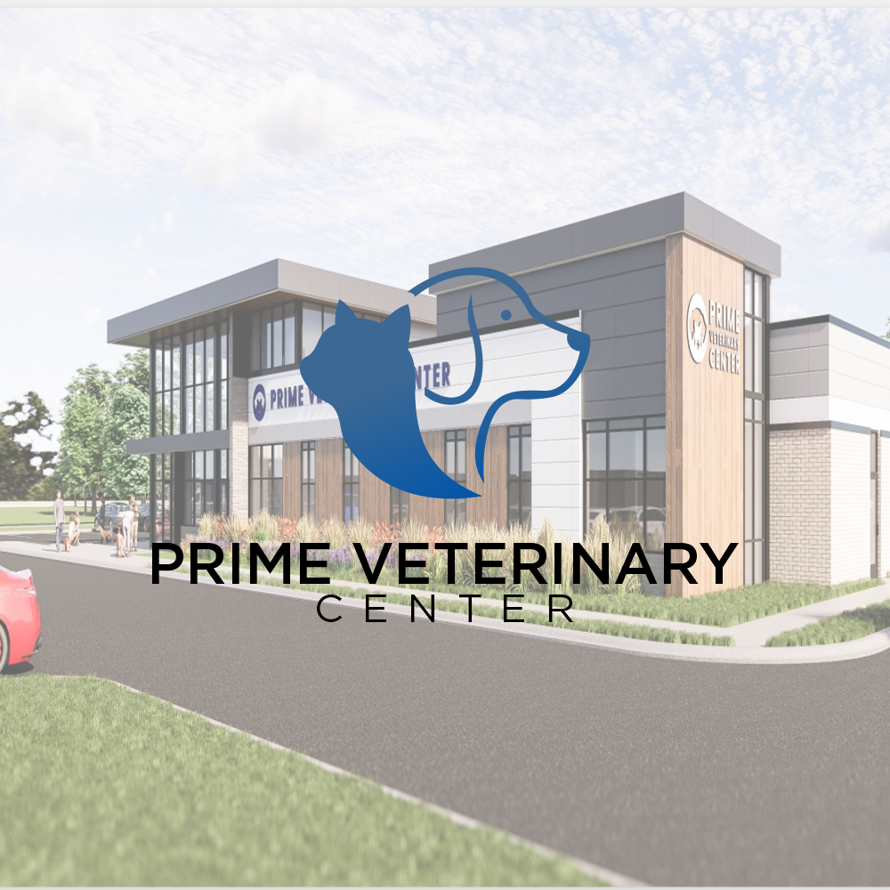 Logo Design by hokkiye for this project | Design #35803898