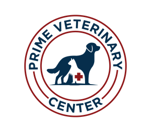 Logo Design by Nova_Create for this project | Design: #35807729