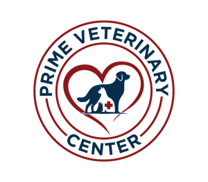 Logo Design by Nova_Create for this project | Design: #35807730