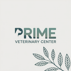Design de Logo par Pixel Rashida pour ce projet | Design : #35800303