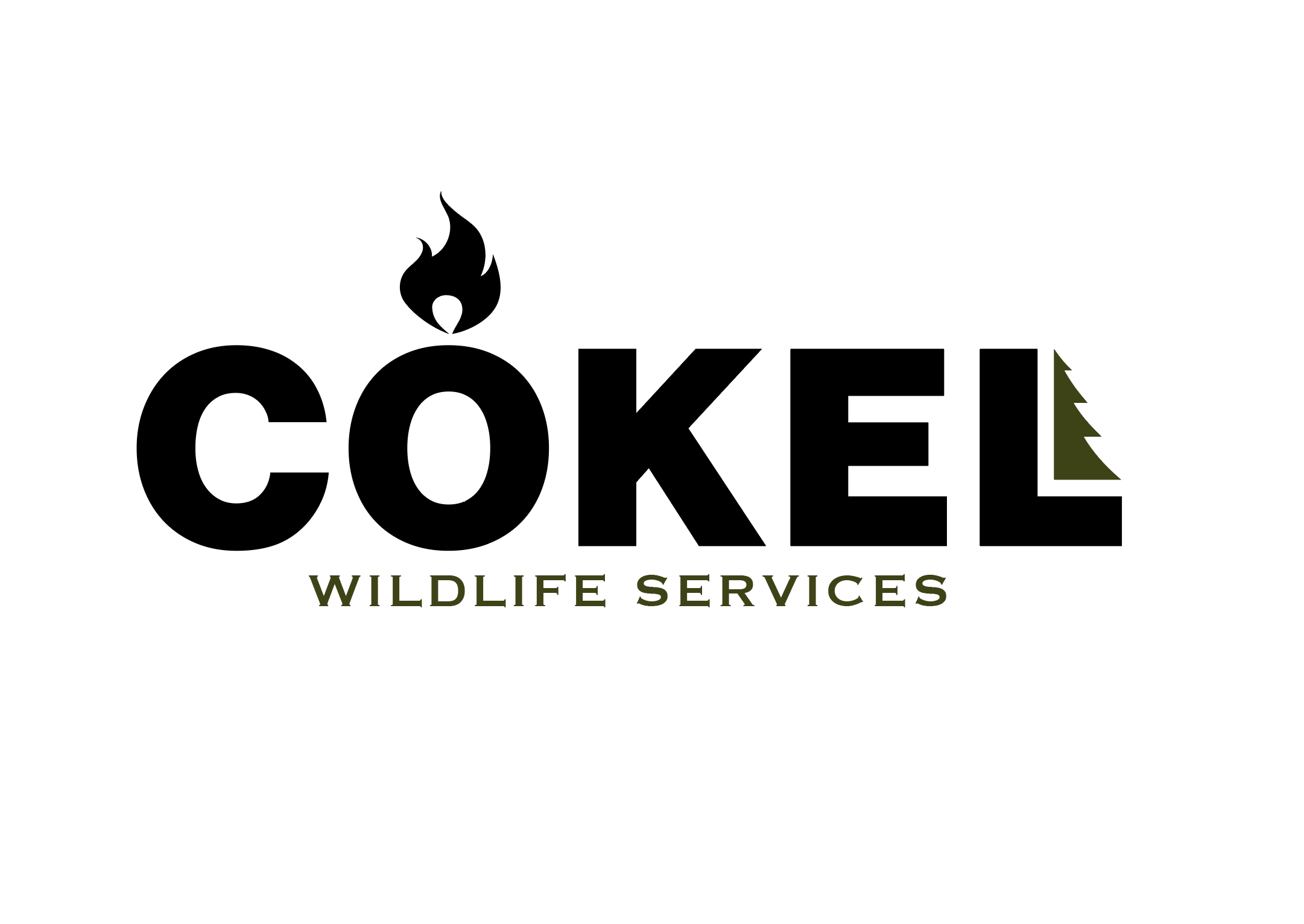 Logo Design by electronymous for this project | Design #35812913